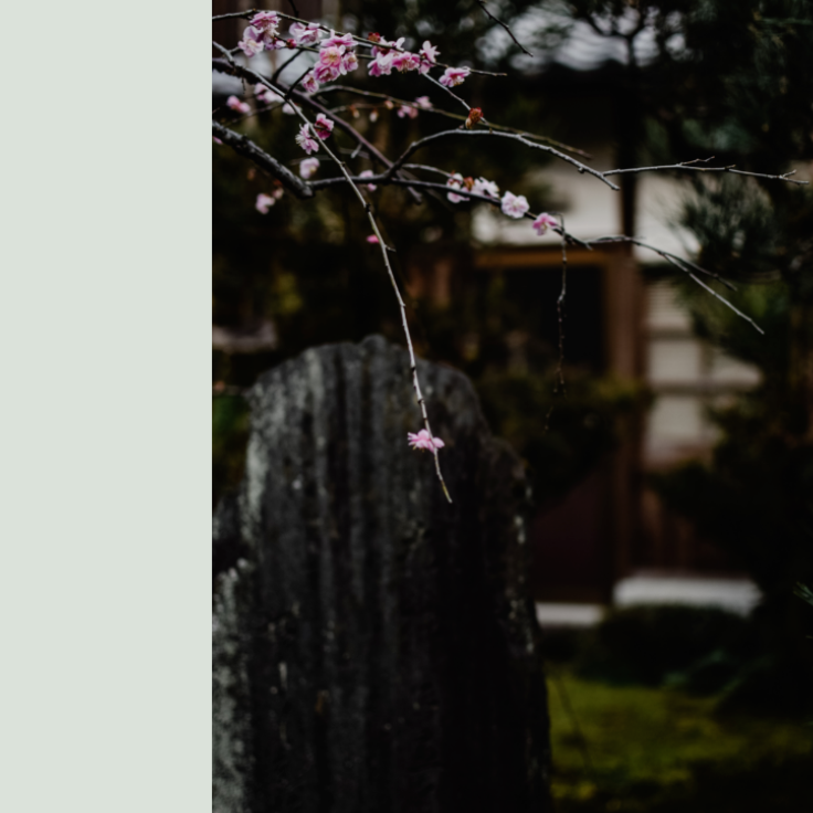 BasicFunerals's tweet photo. Basic Funerals Monthly Digest May 2022 - https://t.co/GzmdbEO5I2
Learn more about Spring Burials, Early Days at Basic Funerals with Dave, our Director of Operations. https://t.co/GuIRpGnwcu