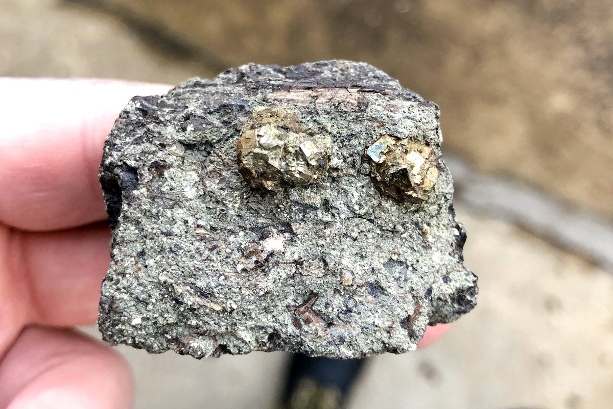 Dr Katie Strang tweet media