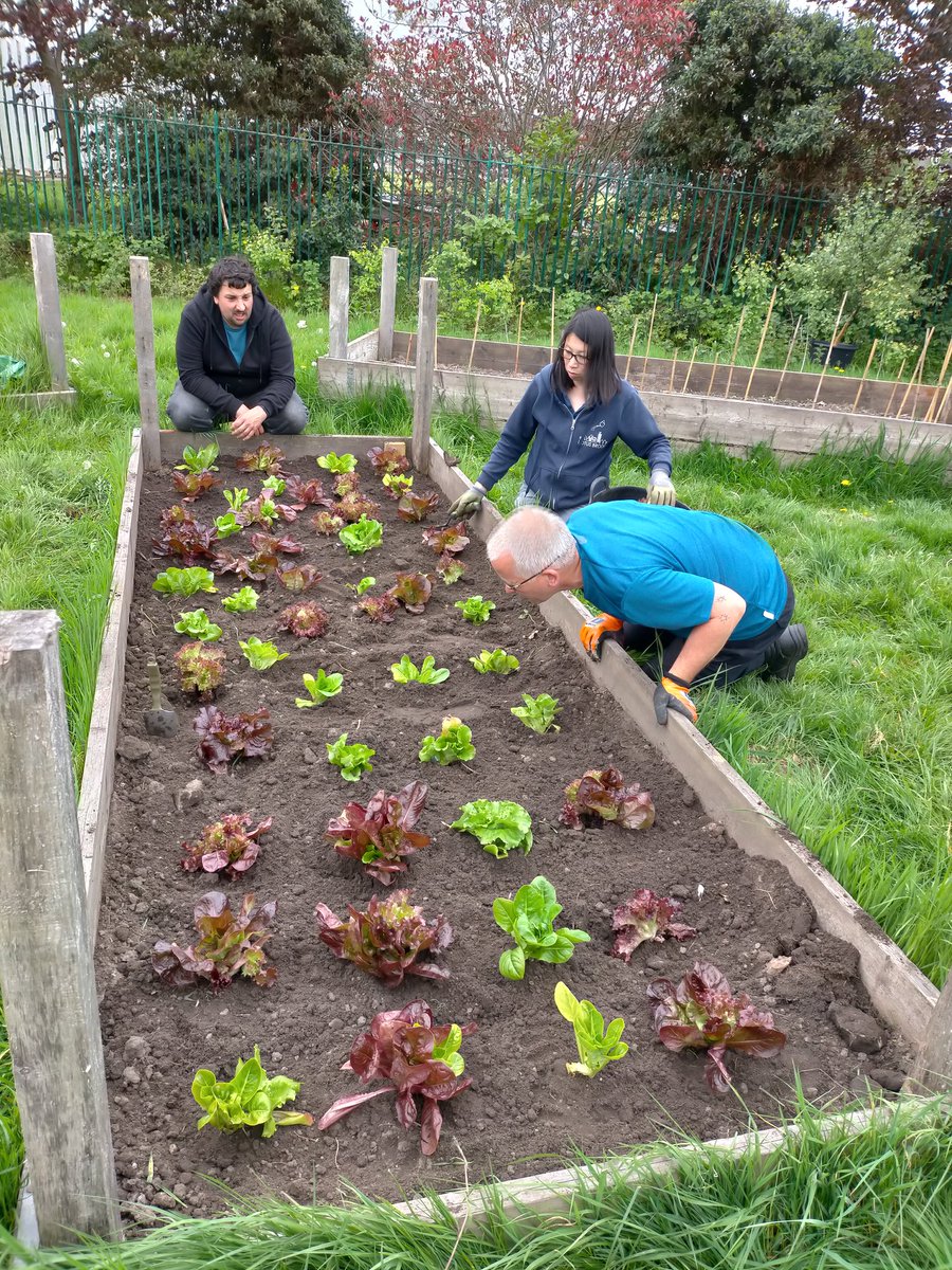 <a href="/ieLiverpool/">Inclusive Economy Liverpool</a> <a href="/lotusbrook/">Lotus Brook</a> Still working today 🥰🥰🥰