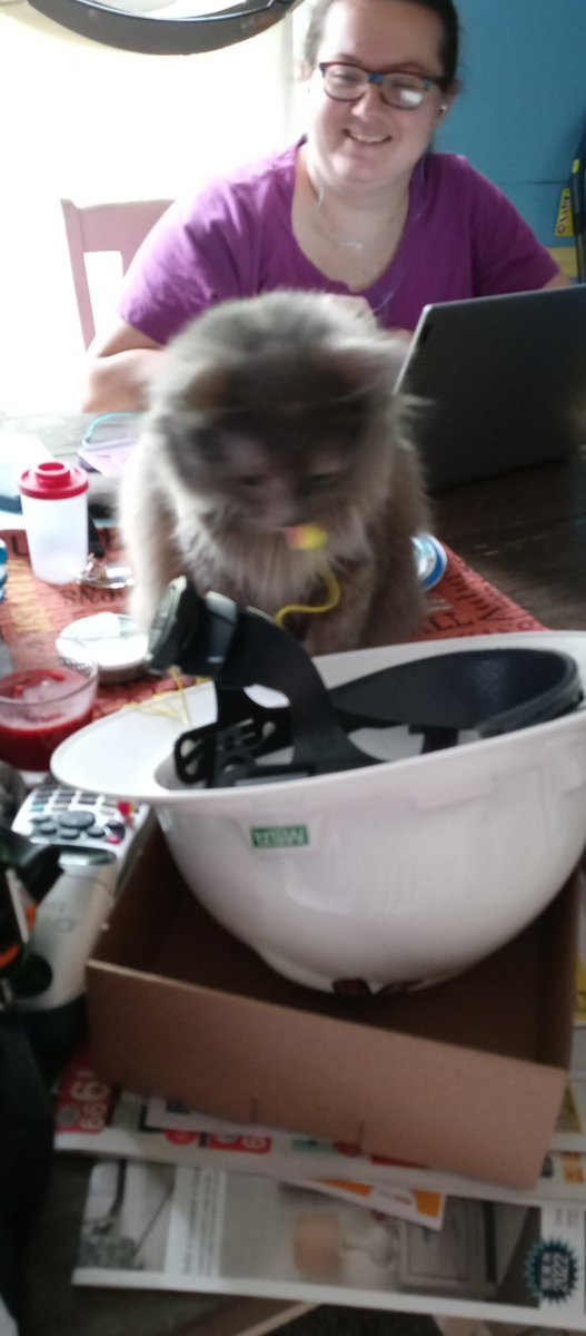 KennJDodgerBlue's tweet photo. @LiteraryStriver @AlexanderRaine7 @apbamlb1987 @fourscorestar And the
#FuzzyCat
#FuzzyMudgie
#Fuzzy https://t.co/no0GKkVwXV