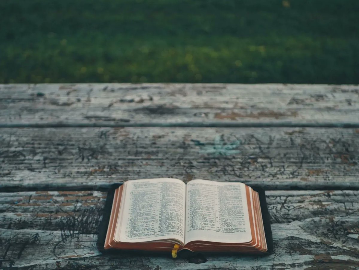 sthildplanting's tweet photo. The final part of @joshcockayne Reflections on Church Planting. A massive thank you to Josh for allowing us to share them. 

https://t.co/p5AJZhNcwe https://t.co/mhE1XrPq3n