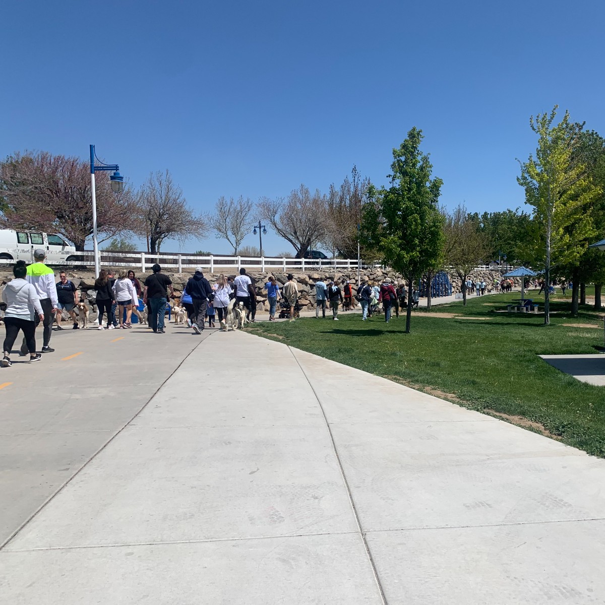 ALS_ofNevada's tweet photo. Here's a little recap of the Reno/Sparks Walk to Defeat ALS! We're grateful for everyone who supported our chapter this weekend! Looking forward to seeing you at the Southern Nevada Walk in November!
#nvALS #walk2defeatals https://t.co/DnXetvwlAv