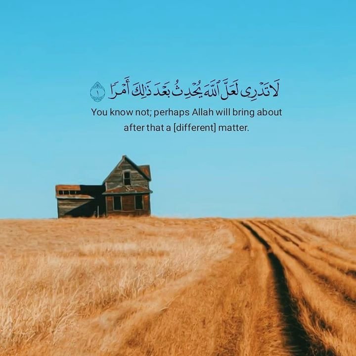 salaamqueen tweet media