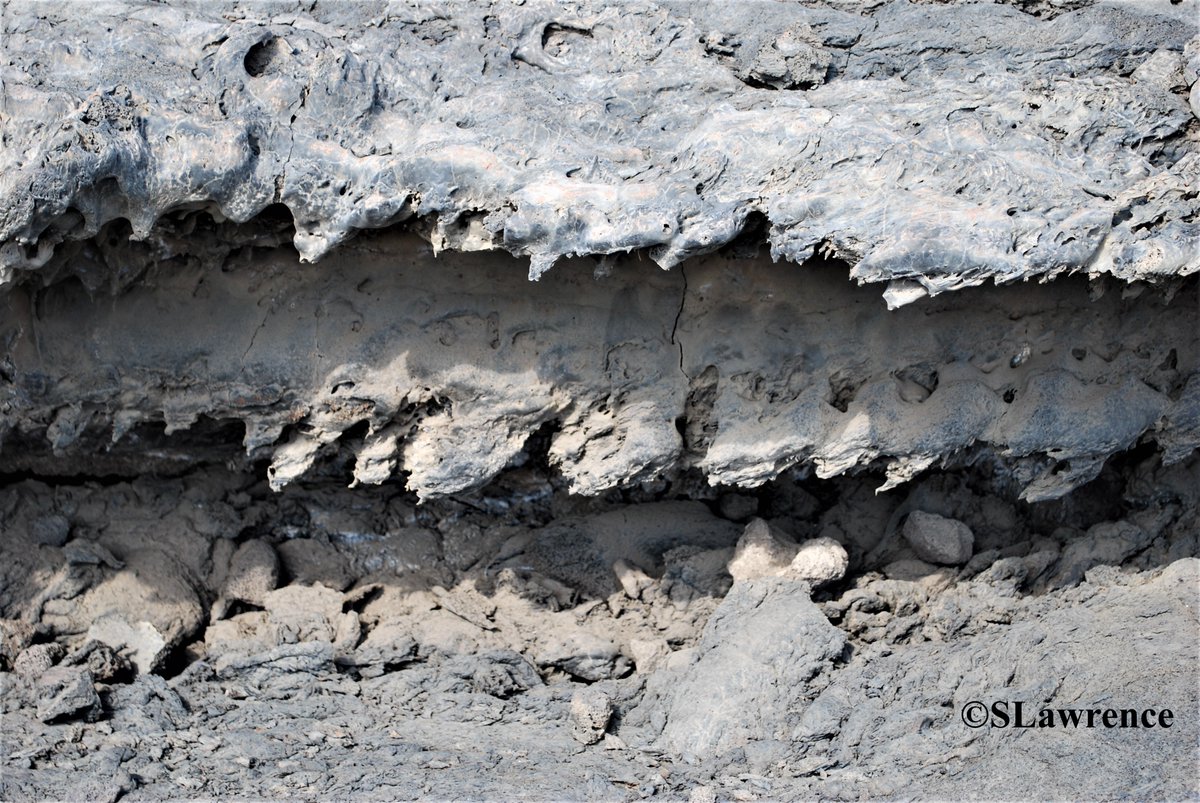 RocDrAdventures's tweet photo. 222 year old abandoned #Basalt #Lava channels on the #Hualālai #Volcano #Hawaii. Now lets see, did the lava flow left to right OR right to left. What gives it away?
#Photography #Geology #Science #Logic #Kona #OffTheTrail #EarthScience #Earth https://t.co/I6zDvnocqP