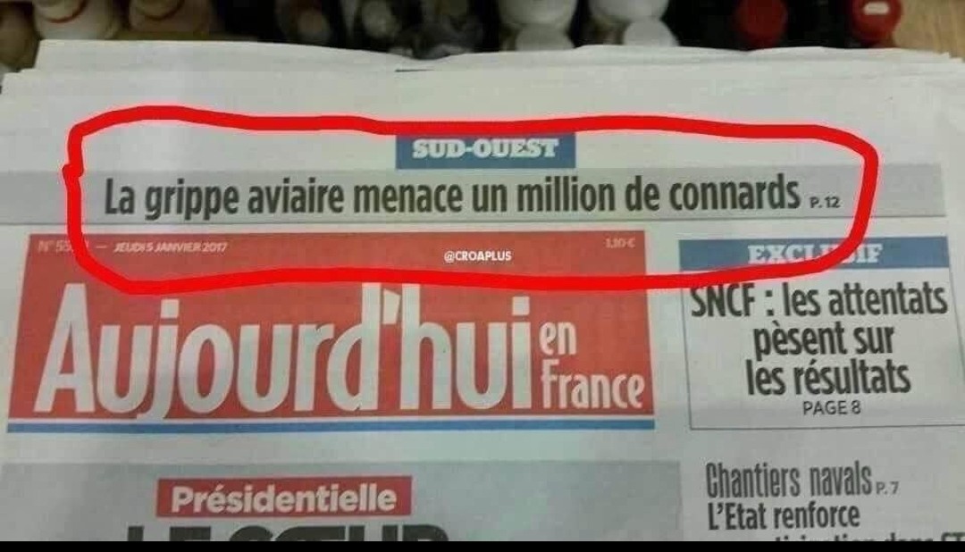 Sophie24303508's tweet photo. #grippeaviaire les journalistes du journal sud-ouest sont cash 😁 https://t.co/CP64MC5bLm