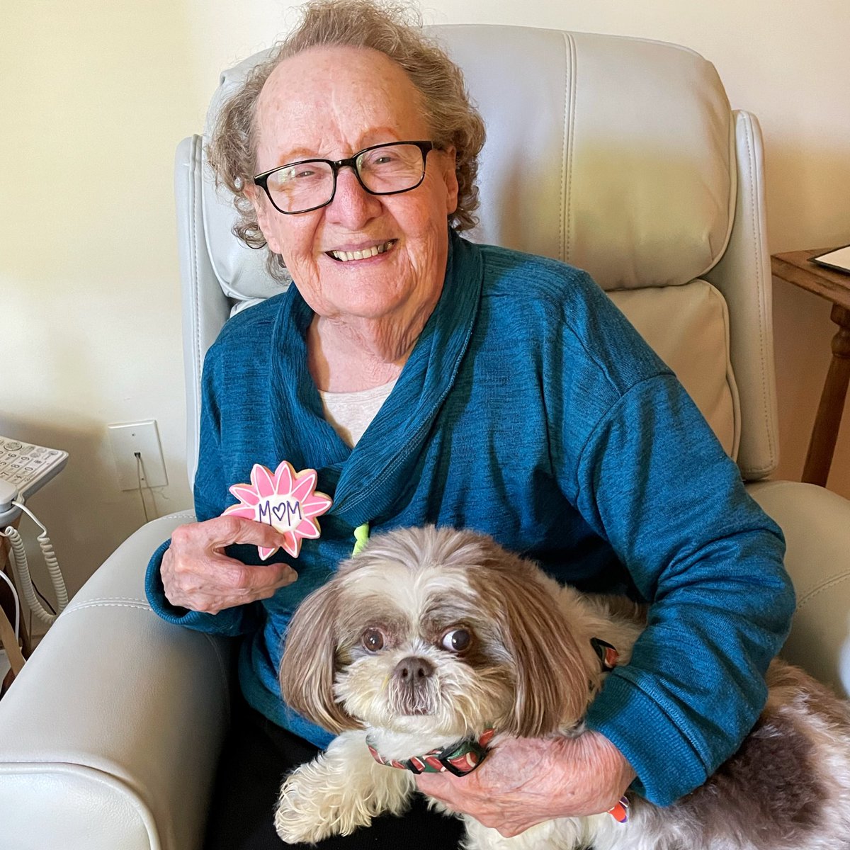 AdamsFamilyTzus's tweet photo. I may or may not have licked my Grannie’s Mother’s Day cookie. (I did. And I regret nothing.) #delicious #MothersDay #MothersDay2022 #babeandbutcher https://t.co/mwu0Qq7EM2