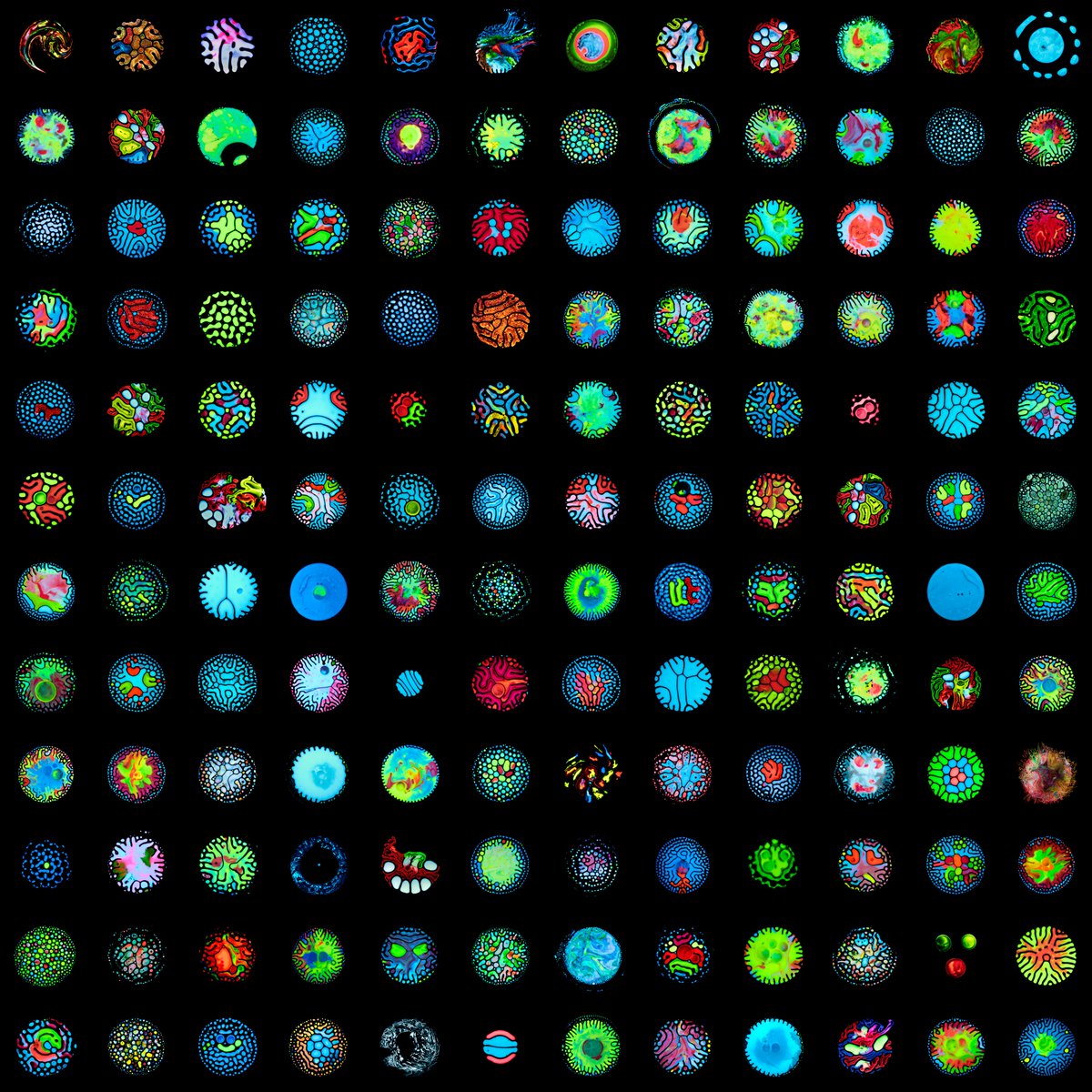 UVioletArt's tweet photo. This is the perfect time to continue creating, working hard and preparing what is coming next 😁

Our cell world will never stop growing.

#NFTPhotography #NFTCollection #Sciart #MedTwitter https://t.co/55eSyBnk9X