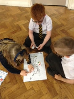 Y1OLOL's tweet photo. Last week in Geography, we were learning about the 4 countries of the U.K. We had a relay race to see who could put the 4 countries, flags and oceans in the correct place! Lots of brilliant teamwork! @OLOLCPrimary https://t.co/kgTqutcvSN