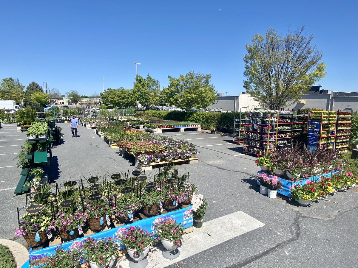 Jill Guth tweet media