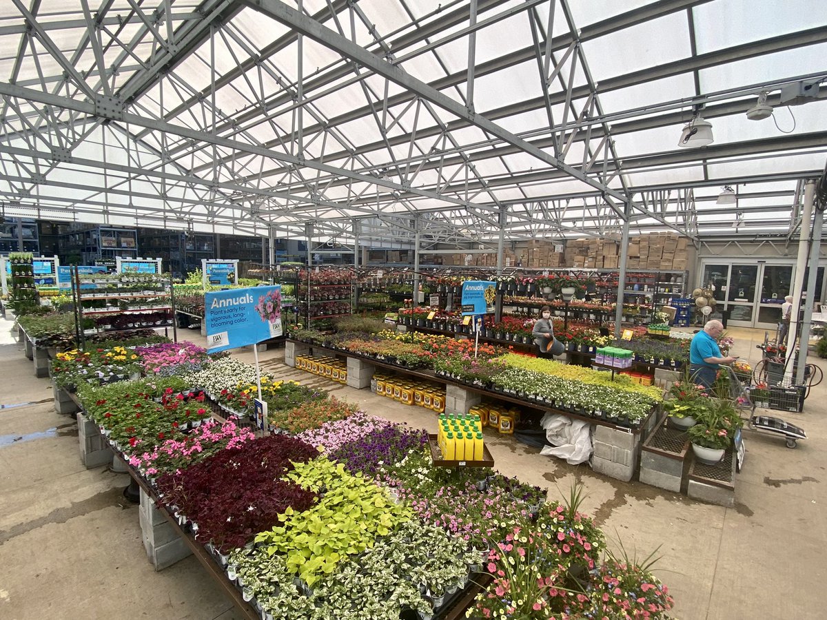 Jill Guth tweet media