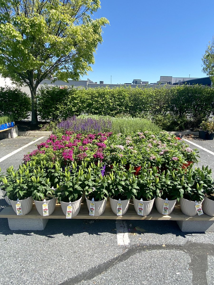 Jill Guth tweet media