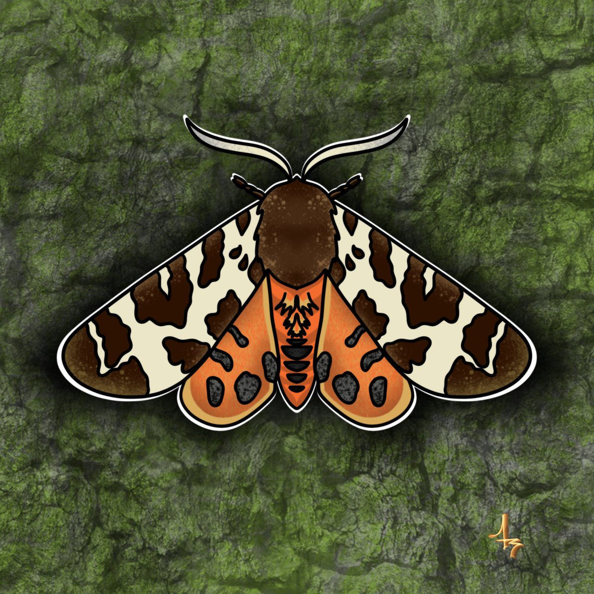 TimberW0lf13's tweet photo. Tiger moth 🤘🏻🔥 https://t.co/Bu2puqCTs7