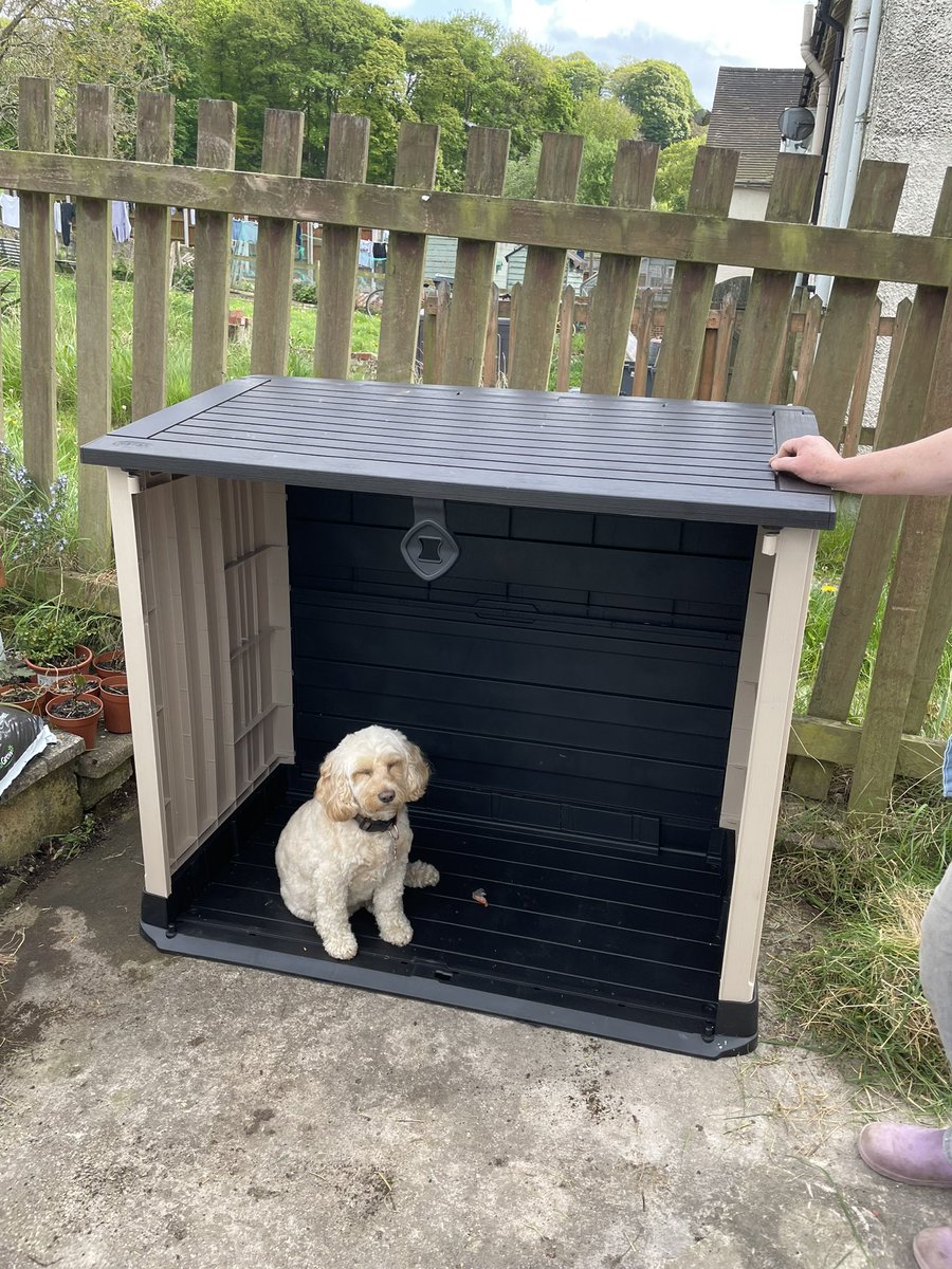 sunny being so helpful building this garden store. employee of the month
