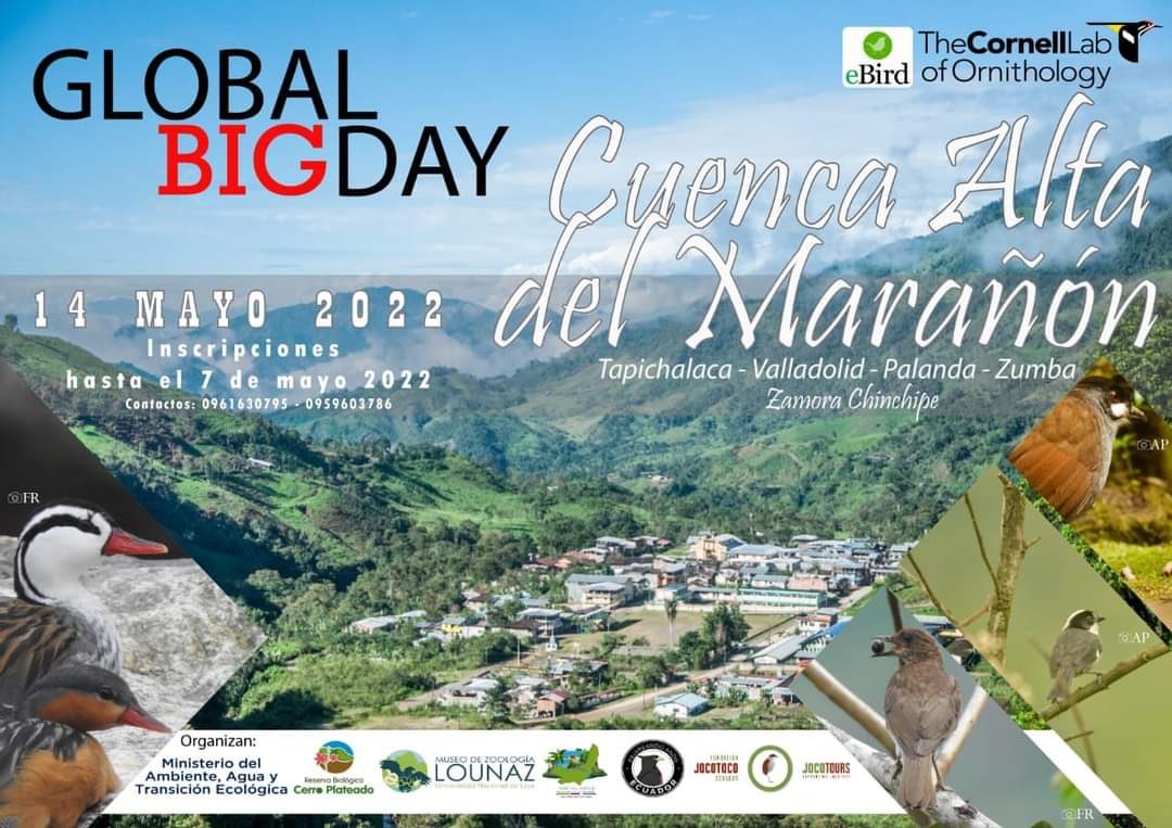 Museo LOUNAZ (@lounazunl) on Twitter photo 