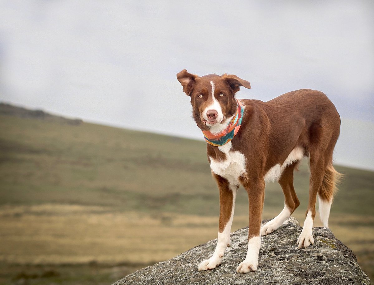 Murphy & Fly tweet media