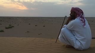 هداج tweet media