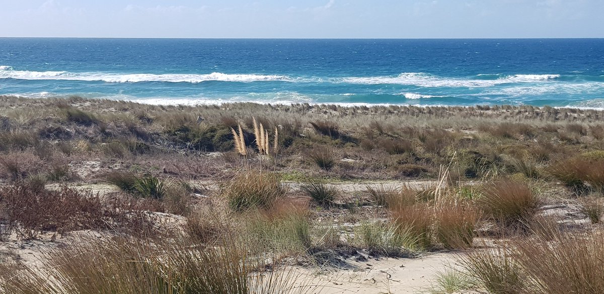 burnsgeoff's tweet image. No filters needed