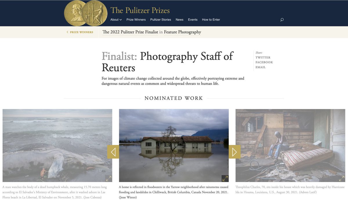 Jesse Winter tweet media