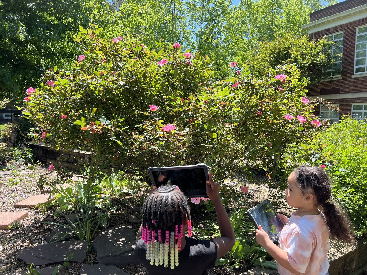 lsullivan's tweet photo. Kindergarten students found interesting living and nonliving things and talked with a partner about their photos #nature #iPad #iPadEd #bird #nest #school #KWBPride #outdoors #flowers #rocks https://t.co/zSynyqLbwV
