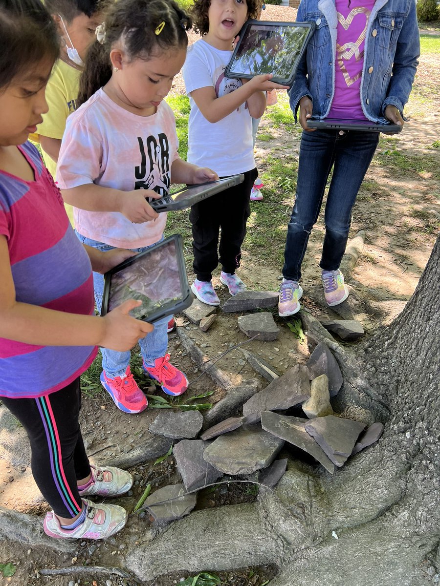 lsullivan's tweet photo. Kindergarten students found interesting living and nonliving things and talked with a partner about their photos #nature #iPad #iPadEd #bird #nest #school #KWBPride #outdoors #flowers #rocks https://t.co/zSynyqLbwV