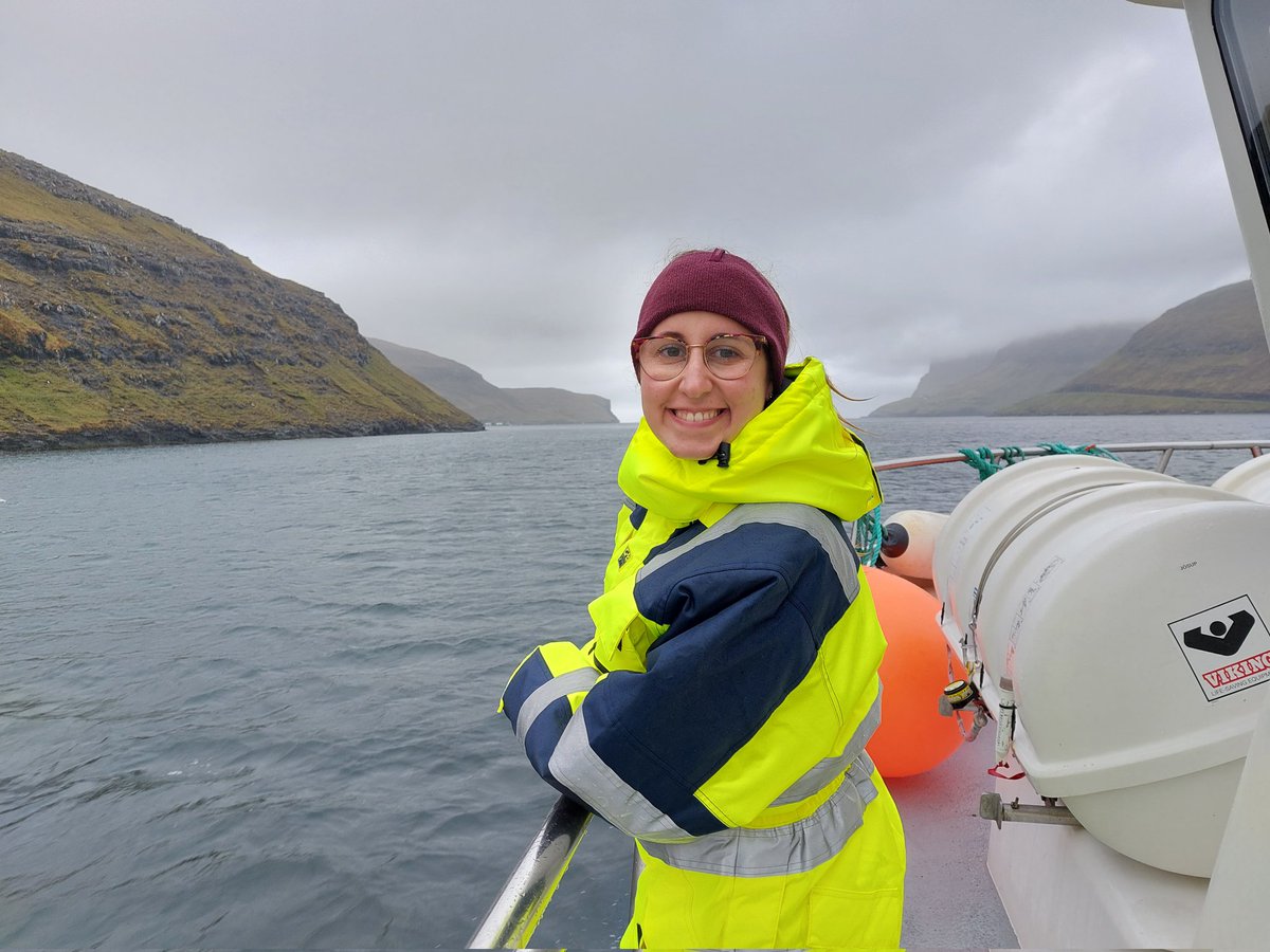 Jessica Di Toro tweet media