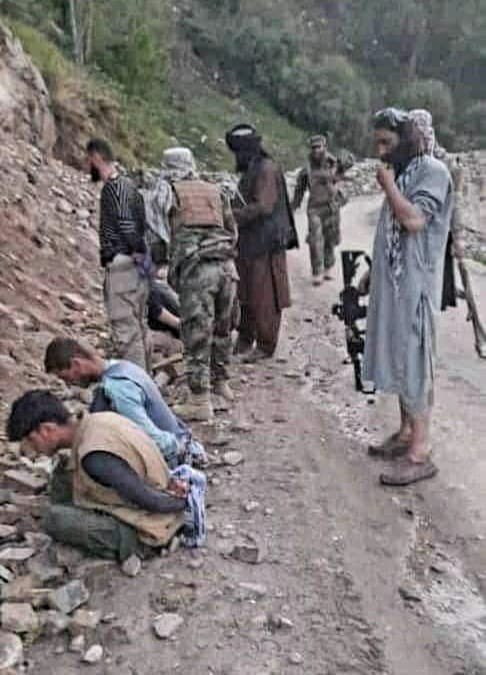 Shahgul_Rezaie's tweet photo. تیر باران کردن افراد ملکی در پنجشیر #جنایت_جنگی است. نهاد های مدافع #حقوق_بشر جهانی نباید در برابر این جنایت سکوت کند. بیش از دو دهه است که انت��ار کرده و ��نسان کشته اند؛ اما هنوز هم از نوشیدن خون انسان افغانستان سیر نشده اند. https://t.co/wNRC5Fh5WH