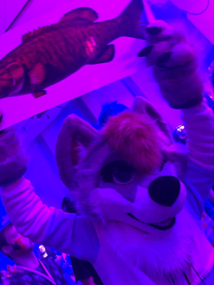 Sᴛᴏɴᴇʏ c: tweet media