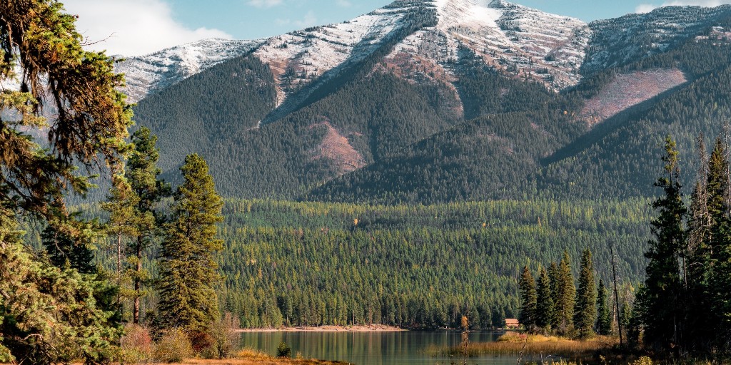 forestservice's tweet photo. The U.S. has been a world leader in sustainable forest management since the Forest Service was created in 1905. We help other countries learn to manage forest lands &amp; resources to meet the needs of present &amp; future generations. https://t.co/JbihCC2HEA https://t.co/ZwATXwOHdB