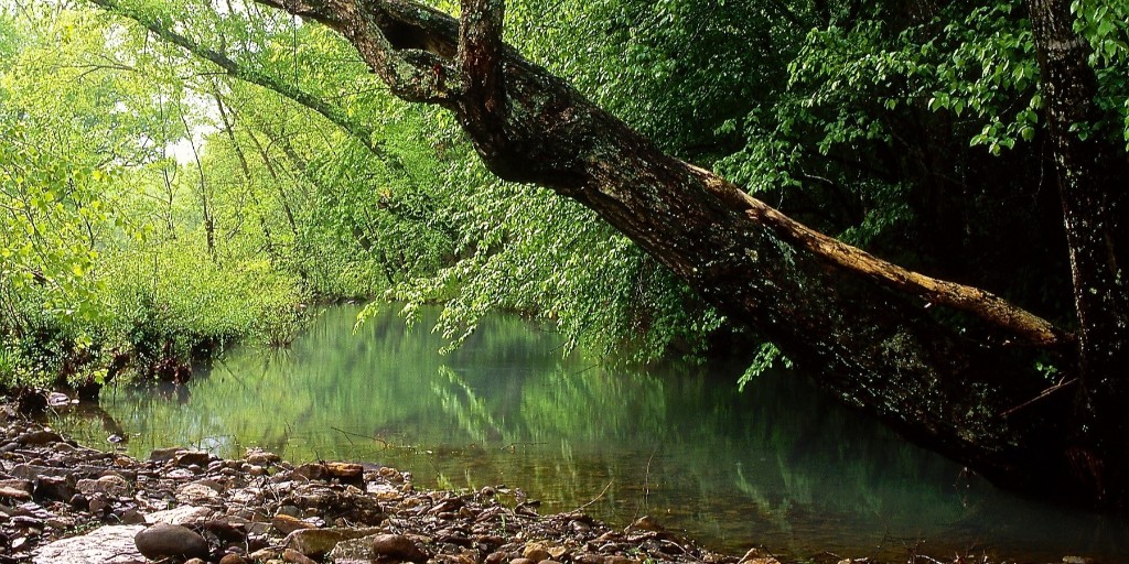 forestservice's tweet photo. The U.S. has been a world leader in sustainable forest management since the Forest Service was created in 1905. We help other countries learn to manage forest lands &amp; resources to meet the needs of present &amp; future generations. https://t.co/JbihCC2HEA https://t.co/ZwATXwOHdB