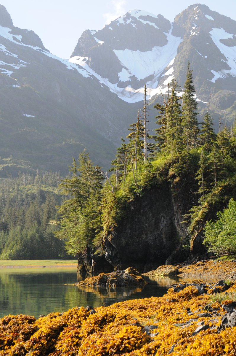 forestservice's tweet photo. The U.S. has been a world leader in sustainable forest management since the Forest Service was created in 1905. We help other countries learn to manage forest lands &amp; resources to meet the needs of present &amp; future generations. https://t.co/JbihCC2HEA https://t.co/ZwATXwOHdB