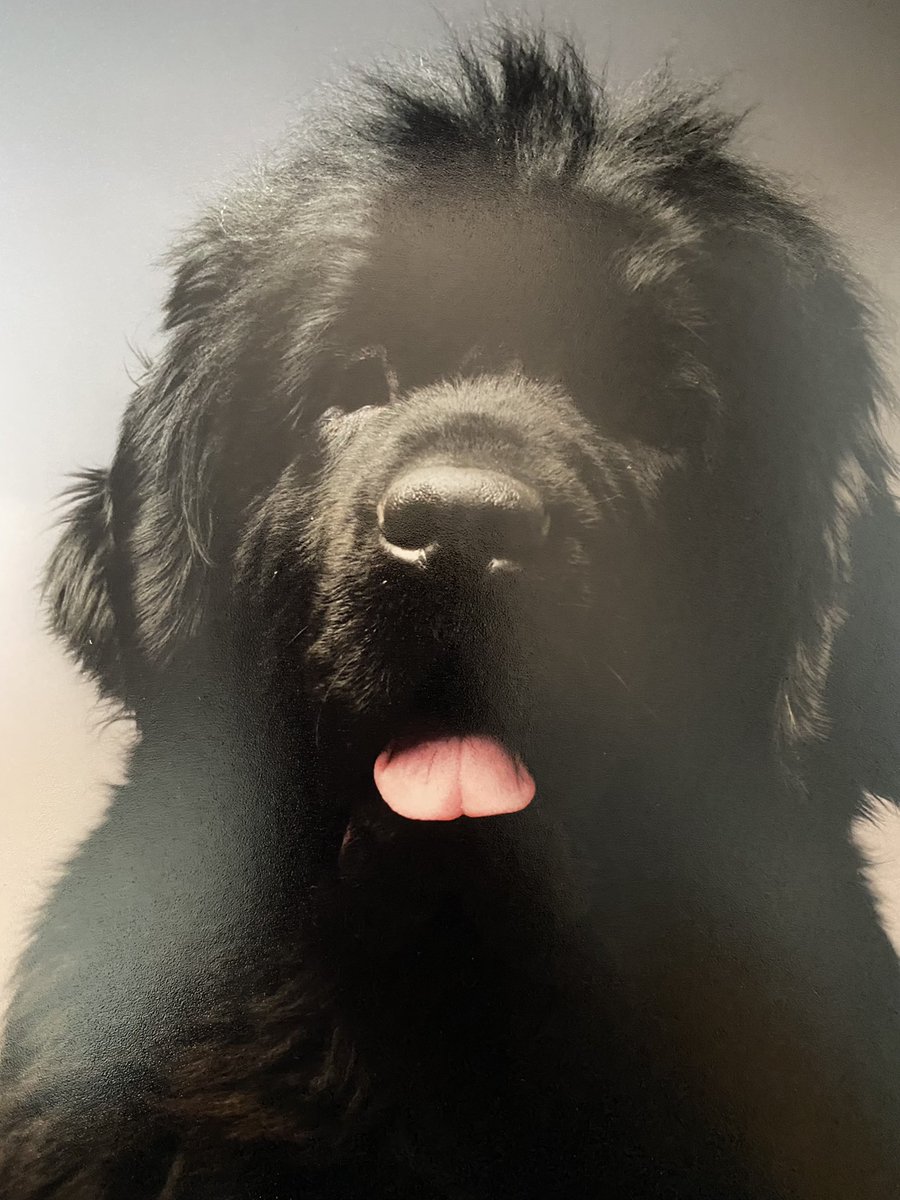 Line Caes tweet media