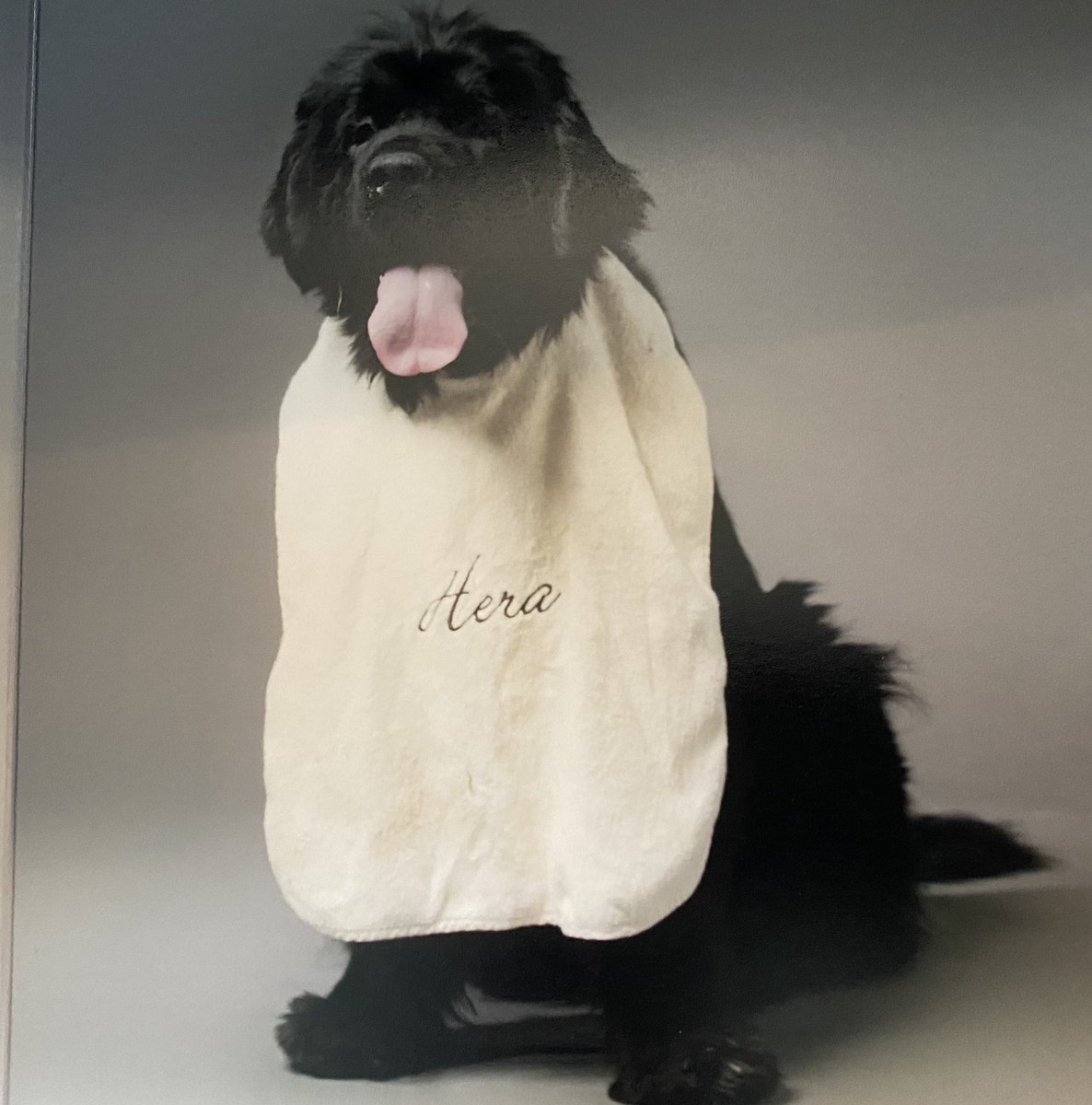 Line Caes tweet media