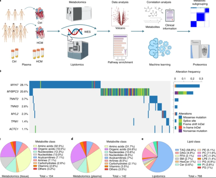 Nature Cardiovascular Research tweet media