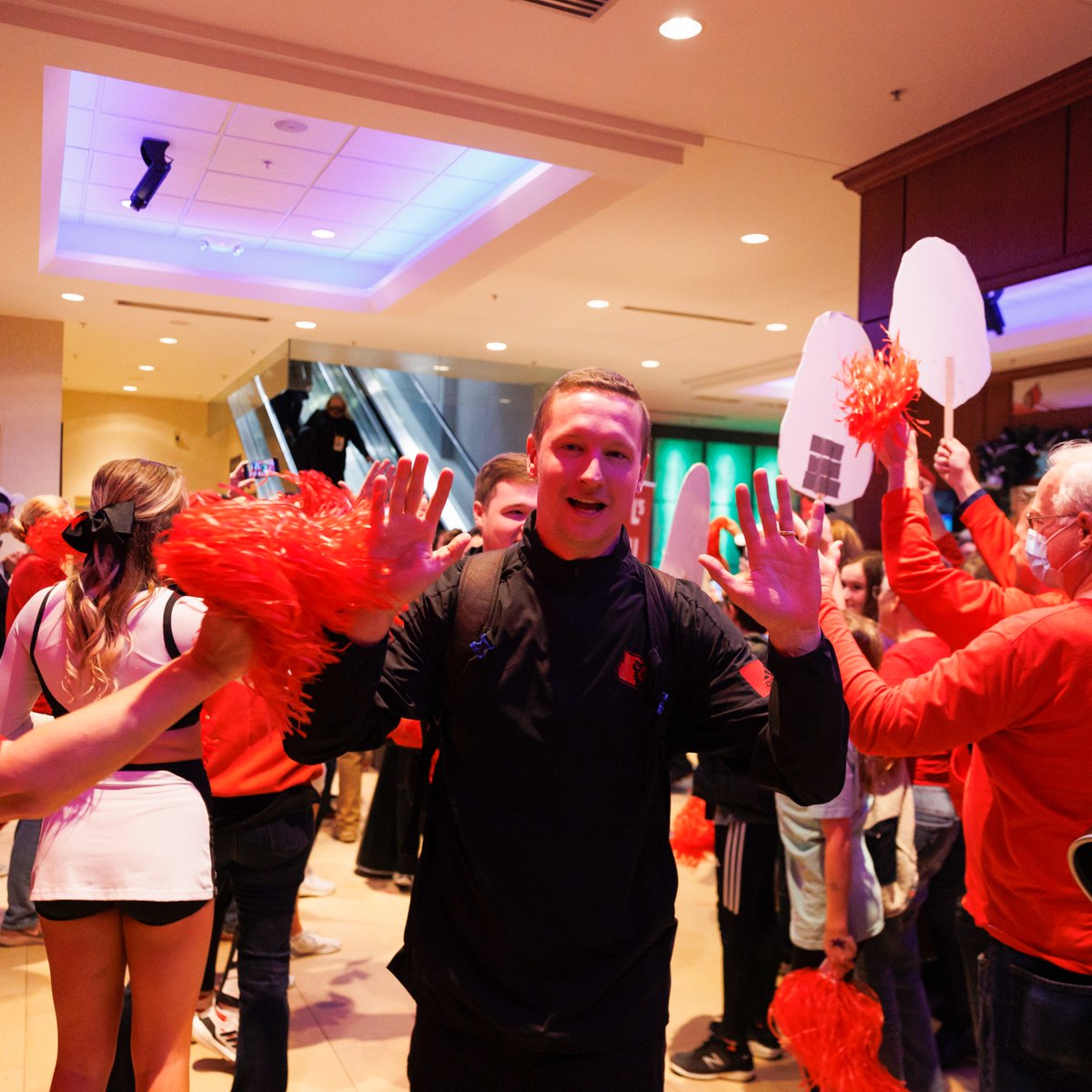 Louisville Volleyball tweet media