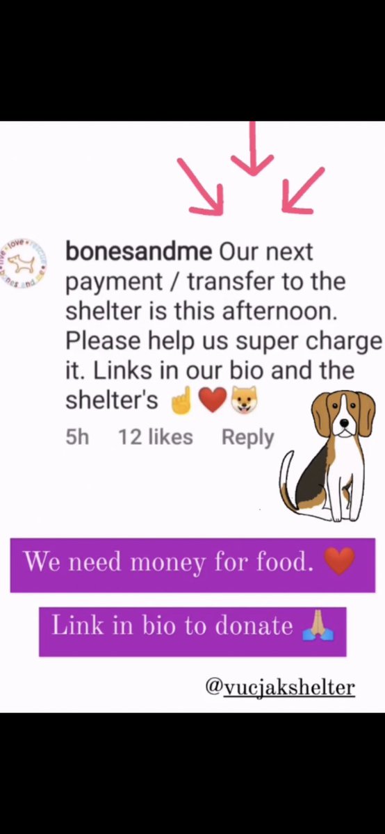 VucjakShelter's tweet photo. Food for the week is needed.๐โ๐ฆบ๐พPlease, help if possible. Link to donate is in our bio ๐๐ผ
Our Bones and Me partners are amazing. We thank them so much, for their incredible help! ๐
#shelterdogs #feedthedogs #dogsoftwittwer #Serbia #loveanimals #RescueDogs
#animalrescue https://t.co/cLNBOILhCw