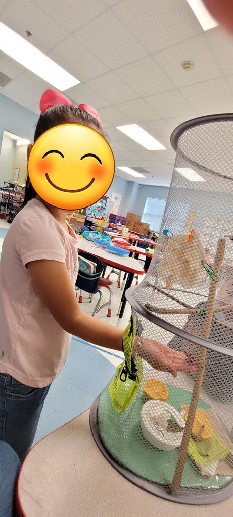 We have butterflies!! 🥰🦋
Students are so engaged with this project that they also took pictures holding them! 
<a href="/Tijerinaes/">Tijerina ES HISD</a>, <a href="/RE_TijeES/">Raquel Escamilla</a>, <a href="/IMarquez2020/">Sex x porn 🌹💋</a>, <a href="/HoustonISD/">Houston ISD</a>  @HISDECH