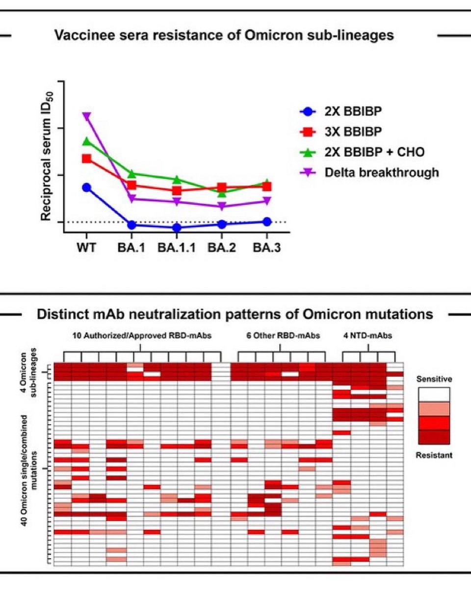 Omicron’un yeni varyantlarının mevcut aşılara ve antikor kokteyllerine karşı duyarlılığının düşük olduğu görülüyor. Bu yeni varyantlara bağlı bir çok ülkede vaka artışları var. O halde aşı ve tedavi geliştirme çalışmalarına ve kapalı kalabalık yerlerde maske kullanımına devam