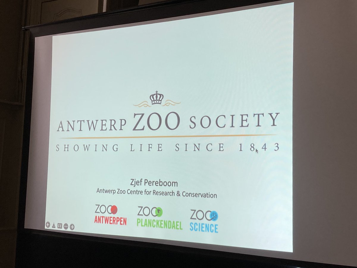 Helen Roy tweet media