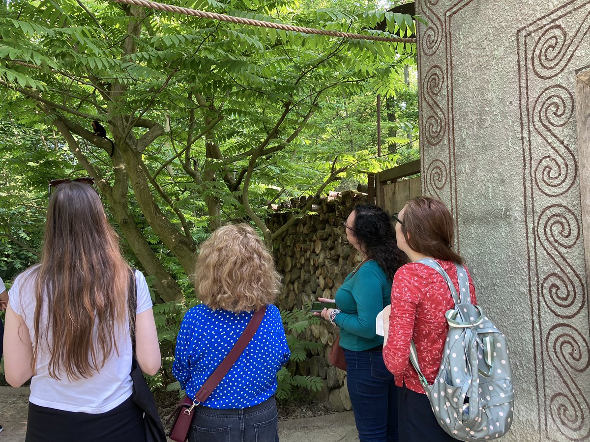 Helen Roy tweet media