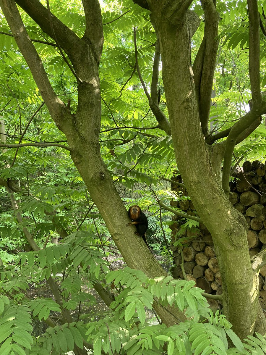 Helen Roy tweet media