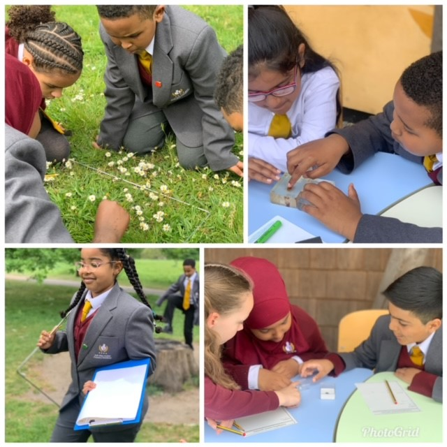 ArkJohnArcher's tweet photo. 🍃🐝Year 5 had a wonderful afternoon with #UrbanNatureProject @NHM_London
They were able to use their geographical skills to look at the impact of humans on the environment! #ForPeopleAndPlanet #ExcitedAboutLearning #Conservation #TeamAJA🐝🍃 https://t.co/O8TqnQcctC