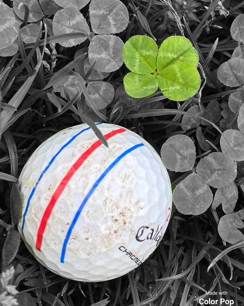 italiangacademy's tweet photo. Non solo maestri di golf ⛳, anche artisti 🍀 
Vero @michelerigone? 😁

#wedriveyourgolf #italiangolfacademy #golf #golfer #sport #golfing #green #golflife #golflesson #golfcourse #golfclub https://t.co/rqMFuzVd1y