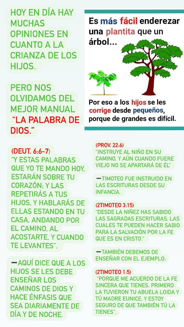 IslasPastora's tweet photo. SEA EL MEJOR EJEMPLO: 

(PROV. 20:7)( NVI)
“JUSTO ES QUIEN LLEVA UNA VIDA SIN TACHA;  ¡DICHOSOS LOS HIJOS QUE SIGAN SU EJEMPLO! 

SEAMOS CONGRUENTES ENTRE LO QUE DECIMOS Y LO QUE HACEMOS. #CrianzaDeLosHijos https://t.co/cvVUsE23Xk