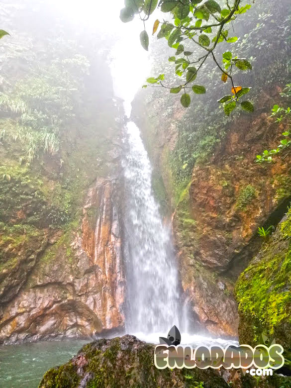 Enlodados's tweet photo. Salto Jordanal, Panamá Oeste. Una belleza de 40 metros de alto, en un bosque nuboso exquisito. https://t.co/B5oMxghvcS https://t.co/8ieGedP5gt