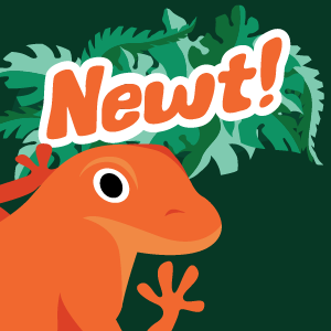 UWStoutGDD's tweet photo. Congrats to our spring 2022 award winners, capstone games by our #Classof2022 seniors:
Best Gameplay: Wobble Warriors
Best Art: Wobble Warriors
Audience Choice Award: Newt!
@OfficialWobble @Newt_Capstone https://t.co/D7LQWy3BNv