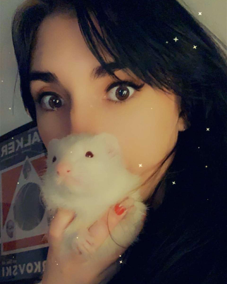 MadameRecluse's tweet photo. My beautiful Lady Pheebs has to go to the vet today. Please send good vibes her way. #ferret #pheobebuffay #Pheebs #motherofferrets #healingvibes https://t.co/UJRMiuWdKP