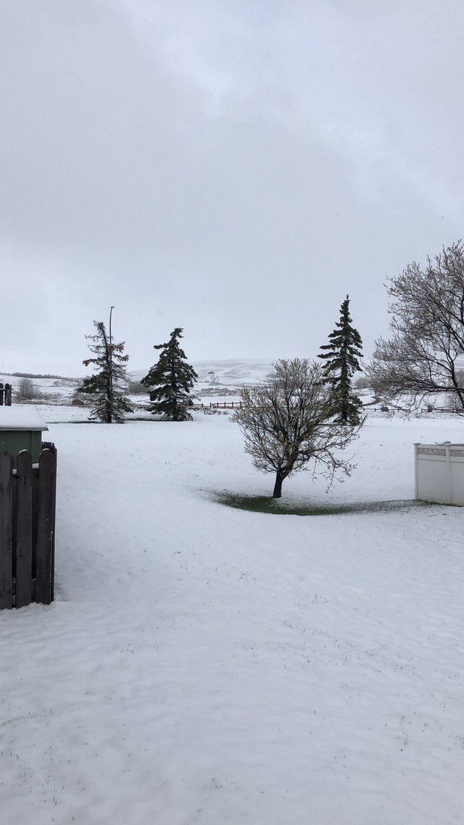 Gm from our winter wonderland. So much for that first day of spring 😅☃️