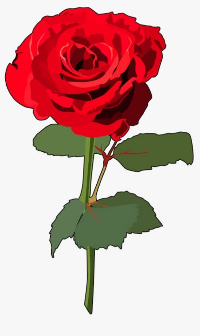 Caatheerriinee's tweet photo. BBM-Sara
#KulayRosasAngBukas
#RosesAreRed
#May9NanaloNaBBMSARA 
#IpanaloNatinPito https://t.co/nn9bIkflWc