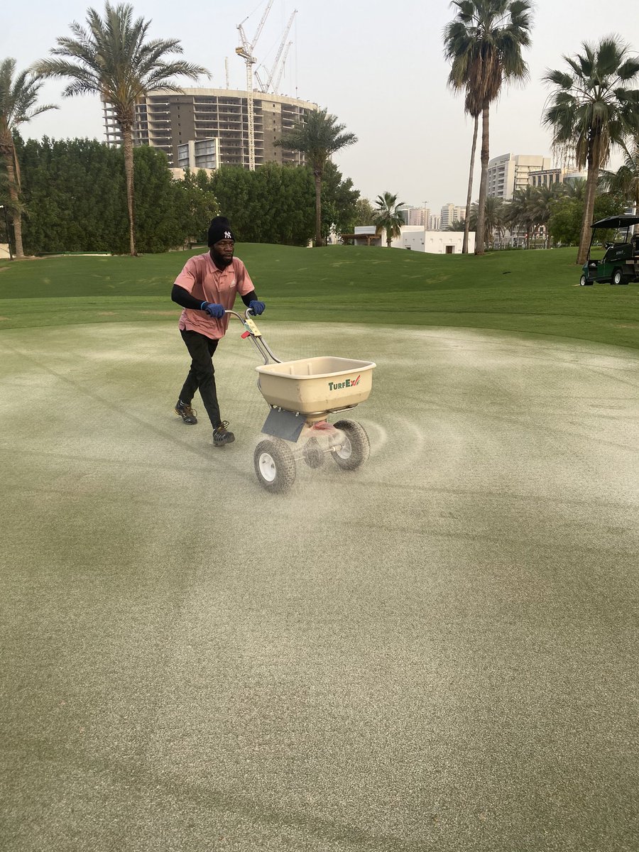 golf_wells's tweet photo. Maintenance Monday at @DubaiCreekGolf Freaky Verti-Cut at -3mm followed but a freaky cut with bushes down @ 2.2mm. 8mm solid tine and a roll before applying approximately 10 tons p/Ha of silica sand to the surface. Great work by the team to get all wrapped up before lunch. https://t.co/f27gBQ4E3i