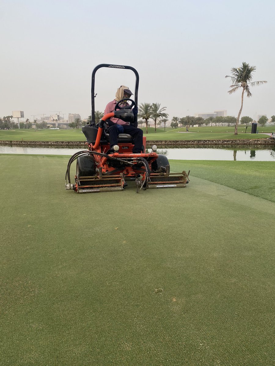 golf_wells's tweet photo. Maintenance Monday at @DubaiCreekGolf Freaky Verti-Cut at -3mm followed but a freaky cut with bushes down @ 2.2mm. 8mm solid tine and a roll before applying approximately 10 tons p/Ha of silica sand to the surface. Great work by the team to get all wrapped up before lunch. https://t.co/f27gBQ4E3i